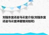 刘强东富还是马云富介绍(刘强东富还是马云富详细情况如何)