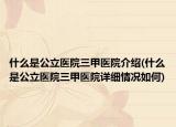 什么是公立医院三甲医院介绍(什么是公立医院三甲医院详细情况如何)