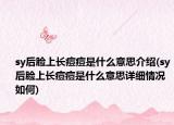 sy后脸上长痘痘是什么意思介绍(sy后脸上长痘痘是什么意思详细情况如何)