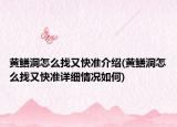 黄鳝洞怎么找又快准介绍(黄鳝洞怎么找又快准详细情况如何)