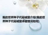 我的世界种子代码城堡介绍(我的世界种子代码城堡详细情况如何)