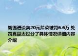 胡锡进谈卖20元芹菜被罚6.6万 处罚真是太过分了具体情况详细内容介绍