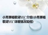 小芳原唱歌词\