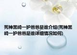死神黑崎一护爸爸是谁介绍(死神黑崎一护爸爸是谁详细情况如何)