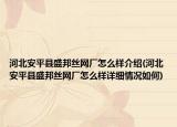 河北安平县盛邦丝网厂怎么样介绍(河北安平县盛邦丝网厂怎么样详细情况如何)