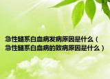 急性髓系白血病发病原因是什么（急性髓系白血病的致病原因是什么）