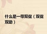 什么是一带双促（双促双助）