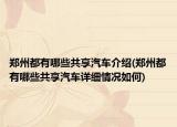 郑州都有哪些共享汽车介绍(郑州都有哪些共享汽车详细情况如何)