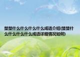 楚楚什么什么什么什么成语介绍(楚楚什么什么什么什么成语详细情况如何)