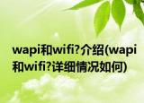 wapi和wifi?介绍(wapi和wifi?详细情况如何)