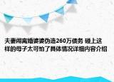 夫妻闹离婚婆婆伪造260万债务 碰上这样的母子太可怕了具体情况详细内容介绍