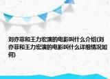 刘亦菲和王力宏演的电影叫什么介绍(刘亦菲和王力宏演的电影叫什么详细情况如何)