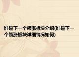 谁是下一个领涨板块介绍(谁是下一个领涨板块详细情况如何)