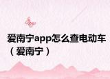 爱南宁app怎么查电动车（爱南宁）