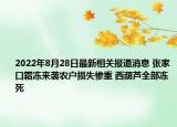 2022年8月28日最新相关报道消息 张家口霜冻来袭农户损失惨重 西葫芦全部冻死