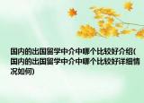 国内的出国留学中介中哪个比较好介绍(国内的出国留学中介中哪个比较好详细情况如何)