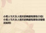 小男人与大女人相关的韩剧有那些介绍(小男人与大女人相关的韩剧有那些详细情况如何)
