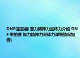 DNF(里的要 智力精神力量体力介绍 DNF 里的要 智力精神力量体力详细情况如何)