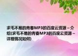 求毛不易的青春MP3的百度云资源～介绍(求毛不易的青春MP3的百度云资源～详细情况如何)
