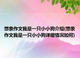想象作文我是一只小小狗介绍(想象作文我是一只小小狗详细情况如何)