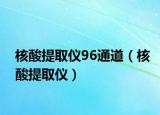 核酸提取仪96通道（核酸提取仪）