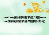 newbee战队到底有多强介绍(newbee战队到底有多强详细情况如何)