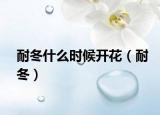 耐冬什么时候开花（耐冬）