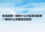 卧底的第一部叫什么介绍(卧底的第一部叫什么详细情况如何)