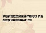 多地发现怪鱼鳄雀鳝详细内容 多地发现怪鱼鳄雀鳝具体介绍
