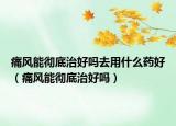 痛风能彻底治好吗去用什么药好（痛风能彻底治好吗）
