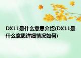 DX11是什么意思介绍(DX11是什么意思详细情况如何)