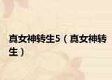 真女神转生5（真女神转生）