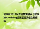 张惠妹2013世界巡回演唱会（张惠妹Ameizing世界巡回演唱会柳州站）