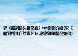 求《船到桥头自然直》txt谢谢介绍(求《船到桥头自然直》txt谢谢详细情况如何)