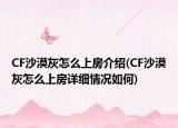 CF沙漠灰怎么上房介绍(CF沙漠灰怎么上房详细情况如何)