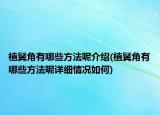 植鬓角有哪些方法呢介绍(植鬓角有哪些方法呢详细情况如何)