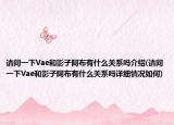 请问一下Vae和影子阿布有什么关系吗介绍(请问一下Vae和影子阿布有什么关系吗详细情况如何)