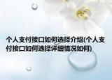 个人支付接口如何选择介绍(个人支付接口如何选择详细情况如何)