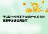 什么是卡沙巴王子介绍(什么是卡沙巴王子详细情况如何)