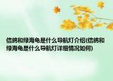 信鸽和绿海龟是什么导航灯介绍(信鸽和绿海龟是什么导航灯详细情况如何)