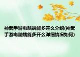 神武手游电脑端能多开么介绍(神武手游电脑端能多开么详细情况如何)
