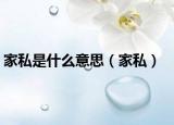 家私是什么意思（家私）
