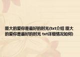 匪大的爱你是最好的时光(txt介绍 匪大的爱你是最好的时光 txt详细情况如何)