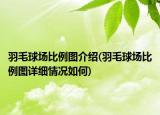 羽毛球场比例图介绍(羽毛球场比例图详细情况如何)