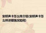 安桥声卡怎么样介绍(安桥声卡怎么样详细情况如何)