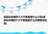 成语玩命猜四个大字答案是什么介绍(成语玩命猜四个大字答案是什么详细情况如何)