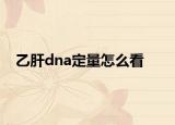 乙肝dna定量怎么看<1.00+02是什么问题