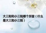 大三阳和小三阳哪个厉害（什么是大三阳小三阳）