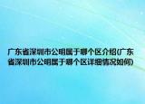 广东省深圳市公明属于哪个区介绍(广东省深圳市公明属于哪个区详细情况如何)