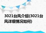3021台风介绍(3021台风详细情况如何)